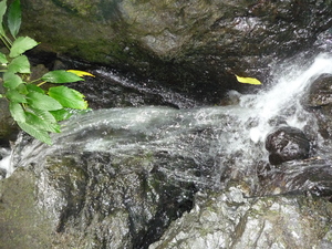 Picture of egtulayas