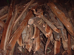 Picture of ginuley