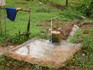 Picture of gripu