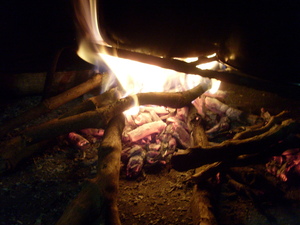Picture of hapuy