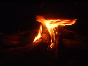 Picture of hapuy