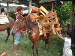 Picture of igparulan