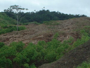 Picture of kamet