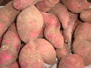 Picture of kasilè