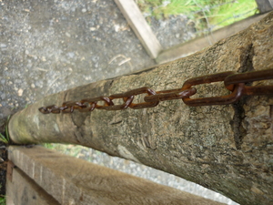 Picture of keddina