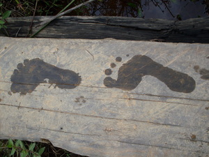 Picture of kemes