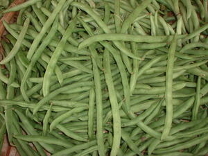 Picture of kintaki