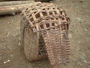 Picture of kulukug