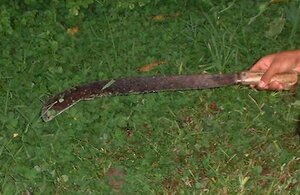 Picture of lagaraw