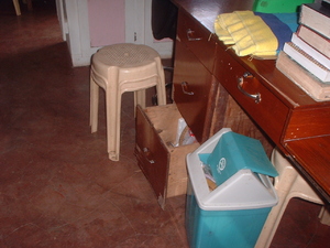 Picture of lamisa