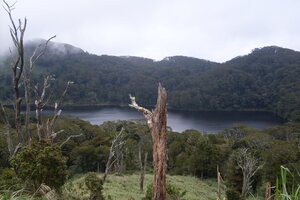 Picture of lanew