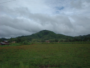 Picture of lantawan