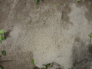 Picture of lelanek