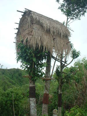 Picture of lelapeng