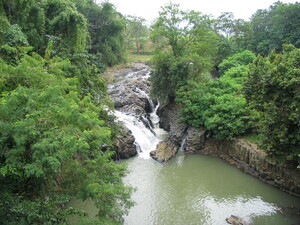 Picture of linew1