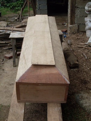 Picture of lungun