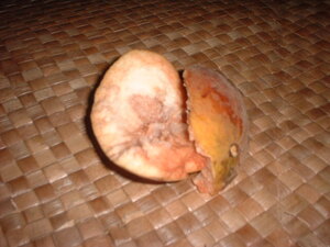 Picture of luwit