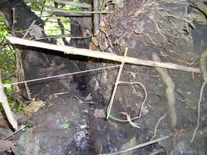 Picture of luyluy