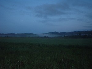 Picture of maselem