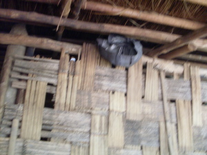 Picture of masil-ew