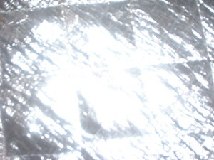 Picture of masil-ew