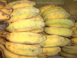 Picture of meyinug