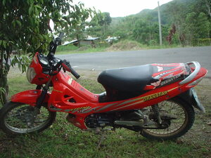 Picture of mutur