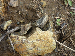 Picture of nabuang
