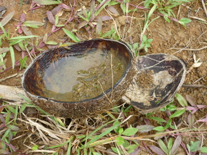 Picture of nakataya