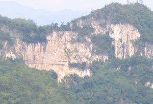 Picture of pahang2