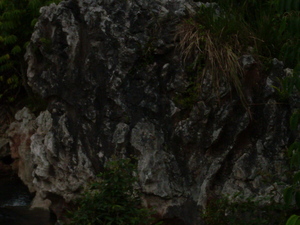 Picture of pahang2
