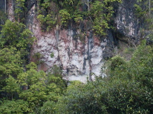 Picture of pahang2
