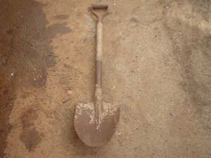 Picture of pala