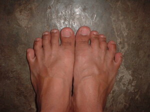 Picture of palapala