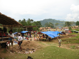 Picture of pista
