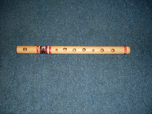 Picture of pulendag