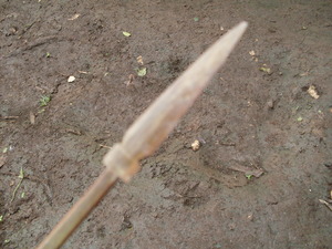 Picture of puyus