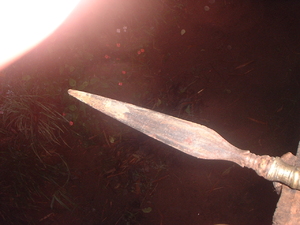 Picture of puyus
