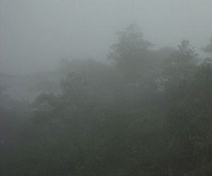 Picture of salahapun