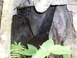 Picture of seled2