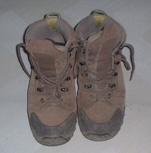 Picture of sepatus