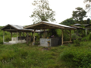 Picture of simintiryu