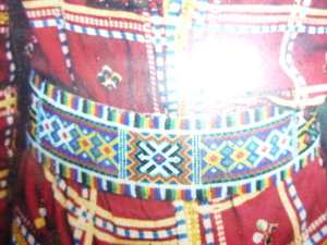 Picture of sinalapid