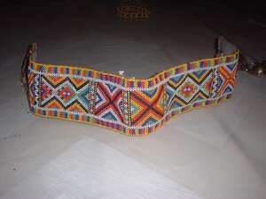 Picture of sinalapid