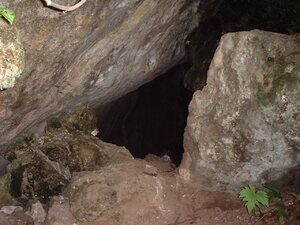 Picture of sulung1