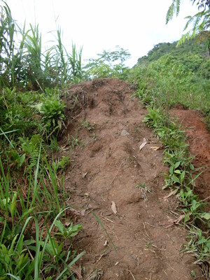 Picture of takerehen