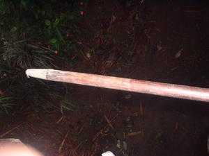 Picture of tambalu