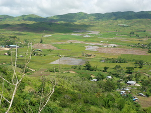 Picture of tetelesi