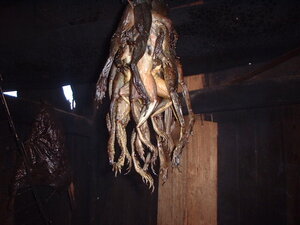 Picture of tinahal