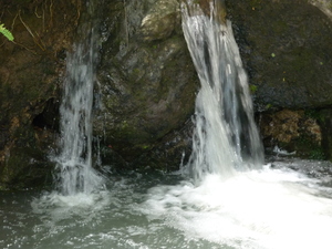 Picture of tubpalè